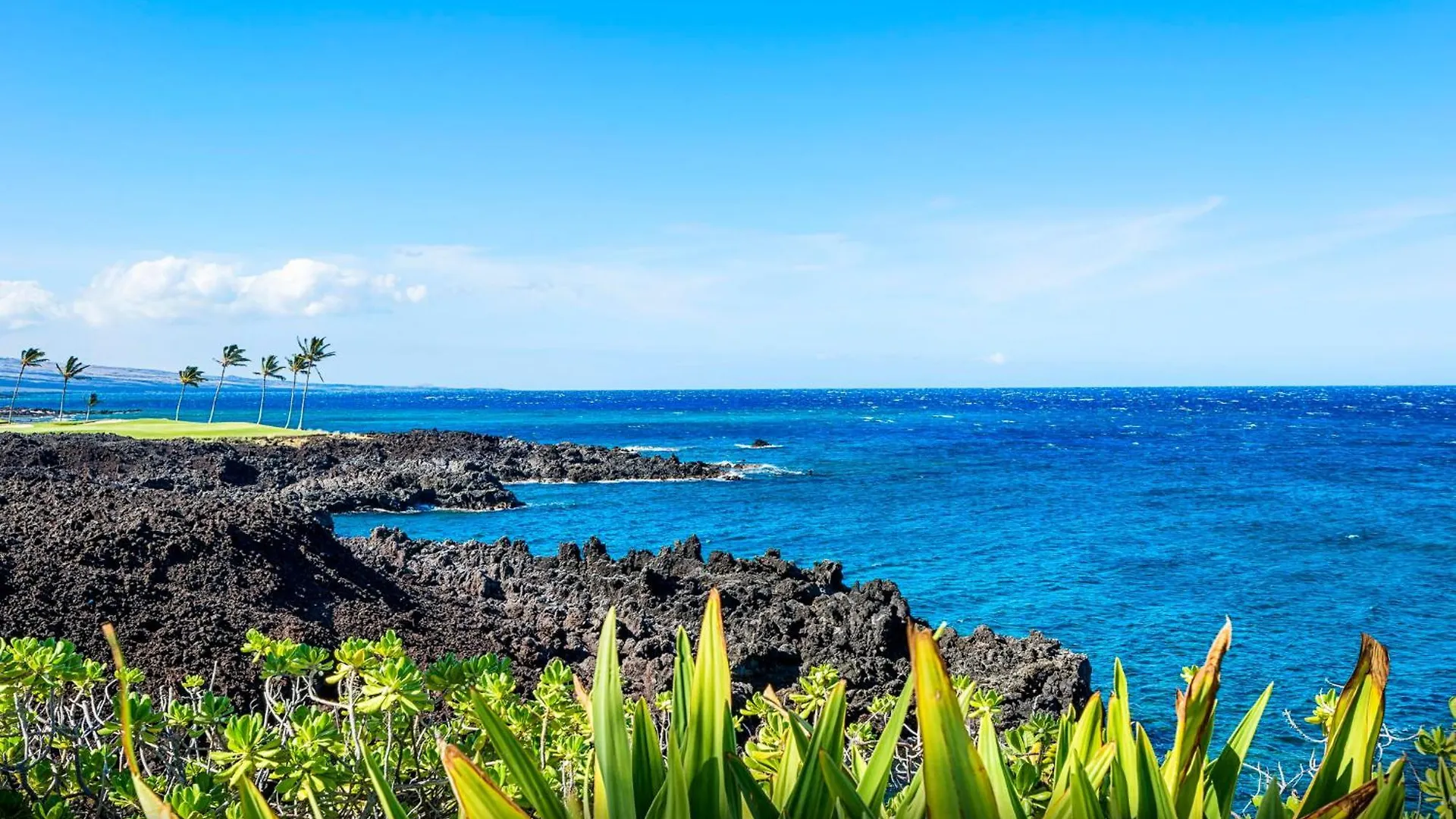 Casa vacanze Villa Halii Kai 3D Waikoloa